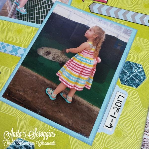 Children's Aquarium Layout by Anita Scroggins | Rinea
