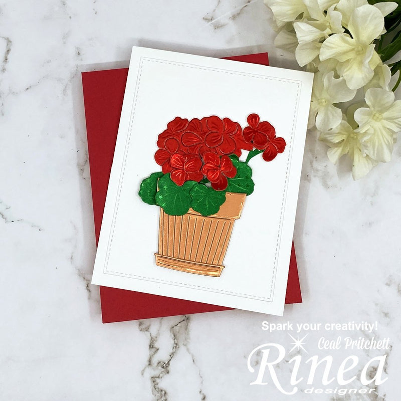 Potted Geraniums | Rinea