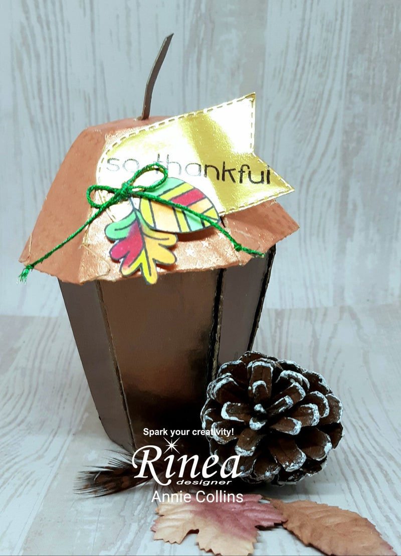 So Thankful Acorn Box by Annie | Rinea